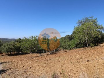 id0d286f01-0000-0500-0000-000011af8fcd