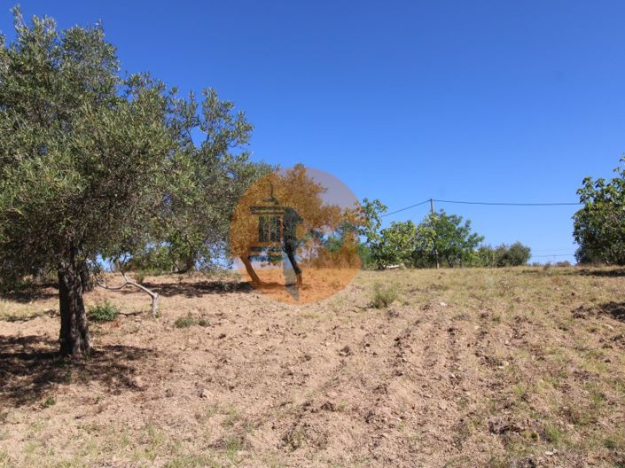 Image No.9-Plot for sale