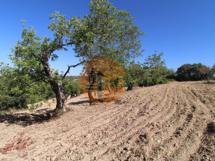 Image No.14-Terrain à vendre à Sao Bras de Alportel
