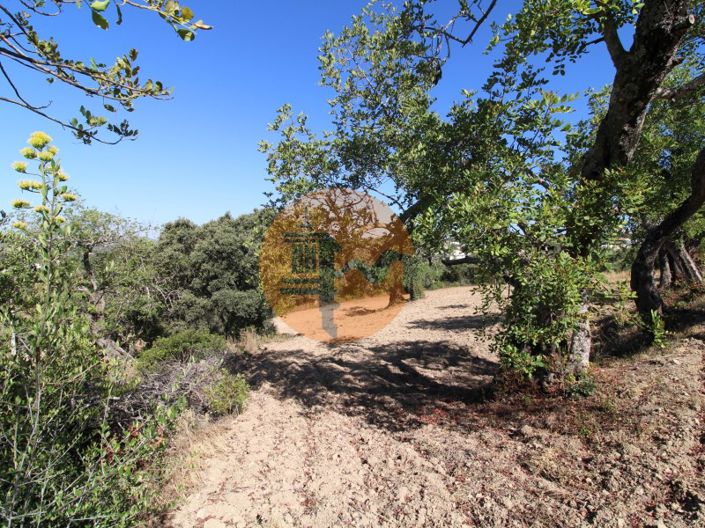 Image No.16-Terrain à vendre à Sao Bras de Alportel