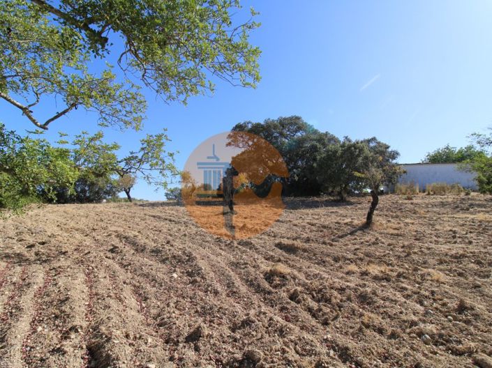 Image No.6-Terrain à vendre à Sao Bras de Alportel