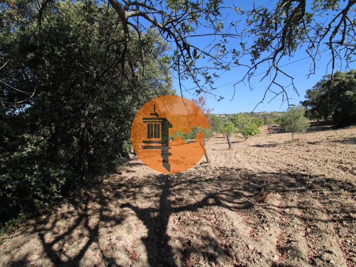 Image No.21-Terrain à vendre à Sao Bras de Alportel