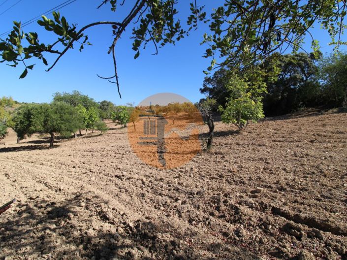 Image No.22-Terrain à vendre à Sao Bras de Alportel