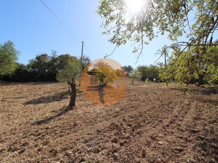Image No.23-Terrain à vendre à Sao Bras de Alportel