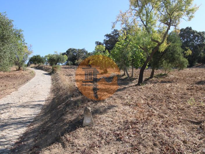 Image No.24-Terrain à vendre à Sao Bras de Alportel