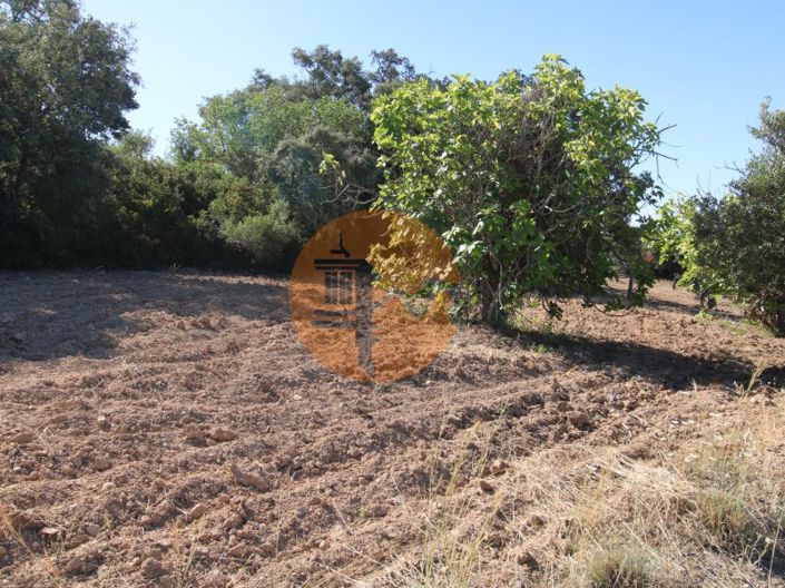 Image No.3-Terrain à vendre à Sao Bras de Alportel