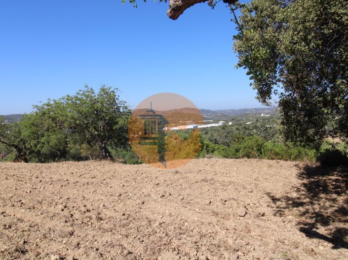 Image No.9-Terrain à vendre à Sao Bras de Alportel