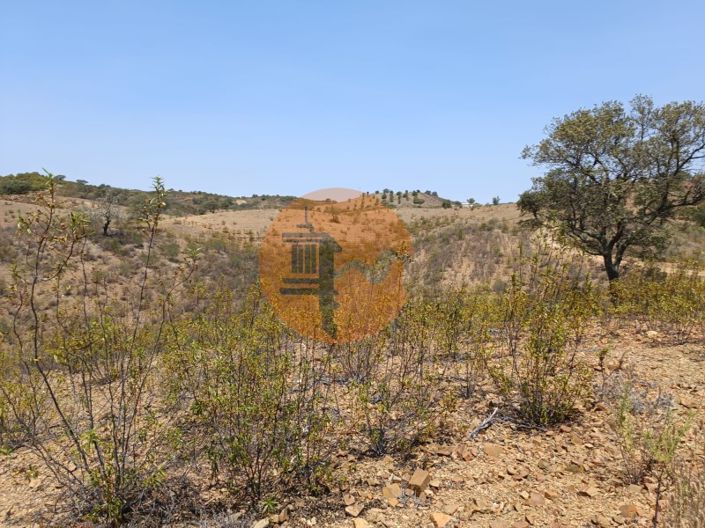 Image No.19-Plot for sale