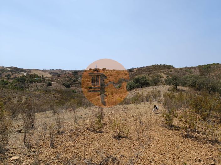 Image No.22-Plot for sale