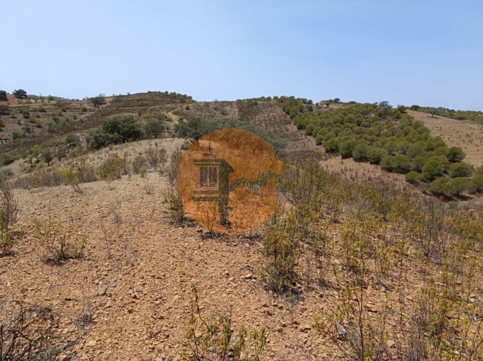 Image No.26-Plot for sale