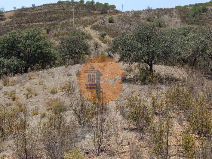 Image No.9-Plot for sale