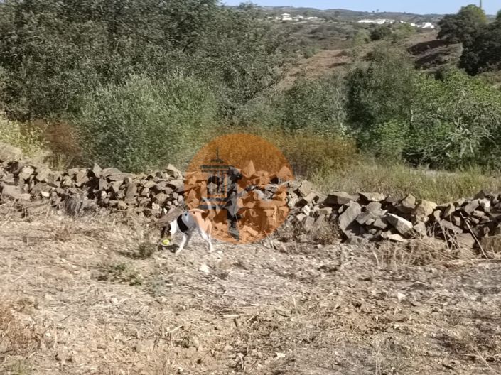 Image No.13-Terrain à vendre à Castro Marim