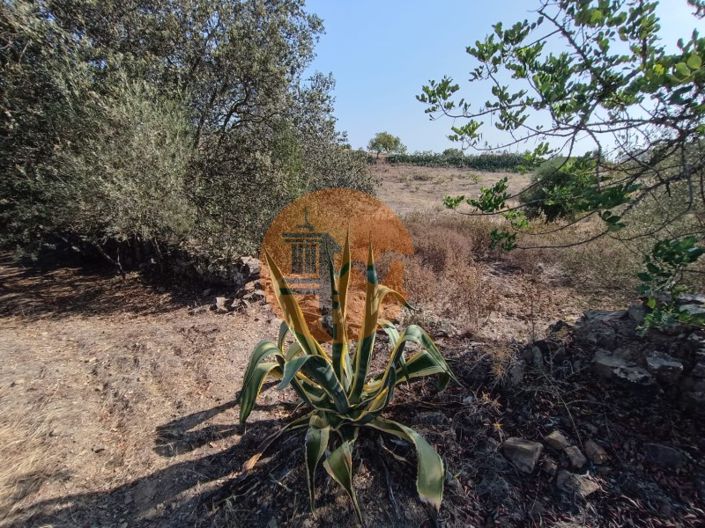 Image No.17-Terrain à vendre à Castro Marim