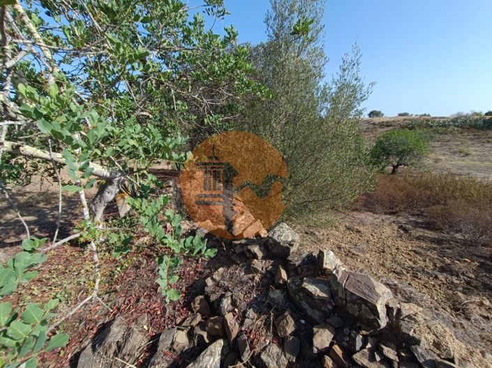 Image No.18-Terrain à vendre à Castro Marim