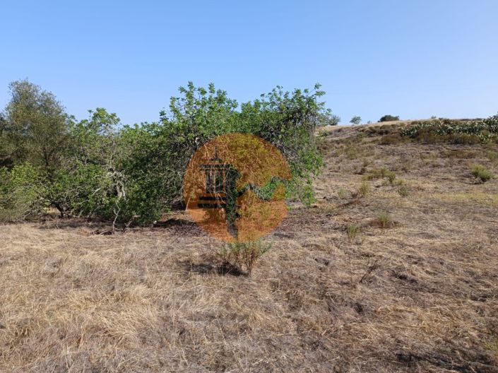 Image No.24-Plot for sale
