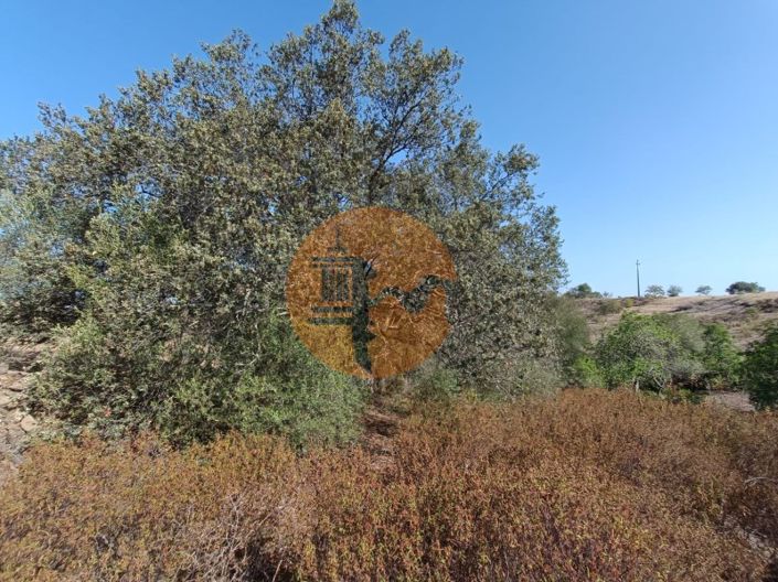 Image No.25-Terrain à vendre à Castro Marim