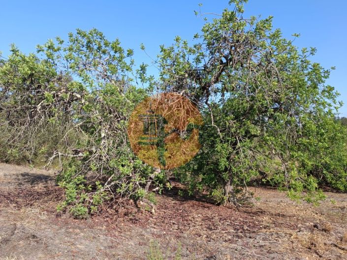 Image No.27-Terrain à vendre à Castro Marim