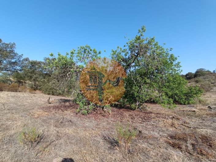 Image No.30-Plot for sale