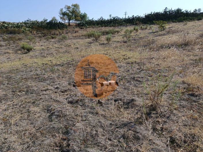 Image No.31-Terrain à vendre à Castro Marim