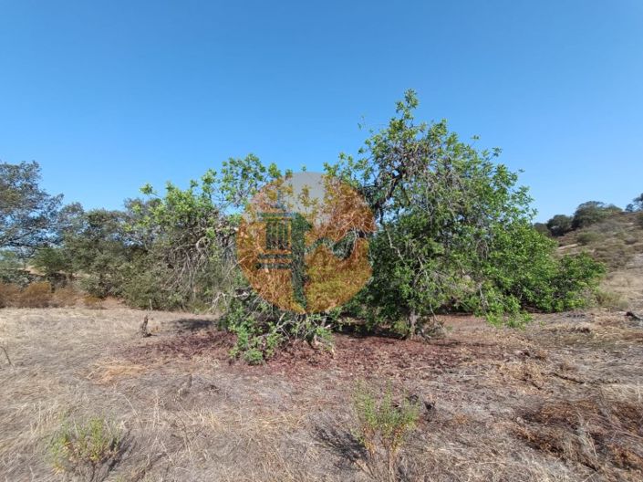 Image No.33-Terrain à vendre à Castro Marim