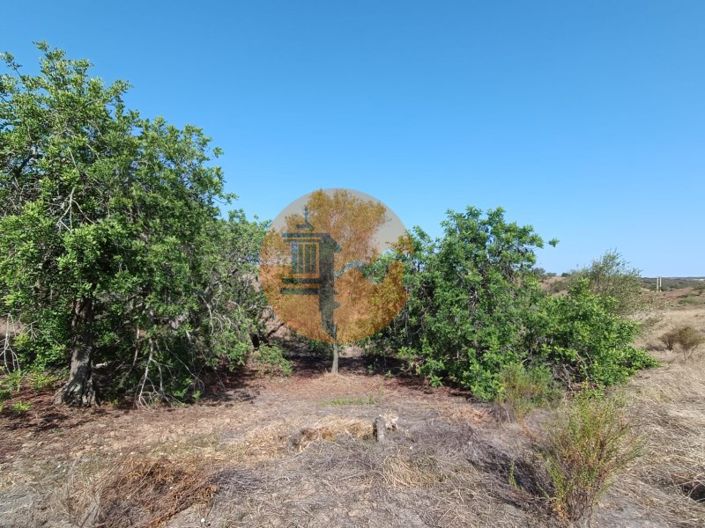 Image No.34-Terrain à vendre à Castro Marim