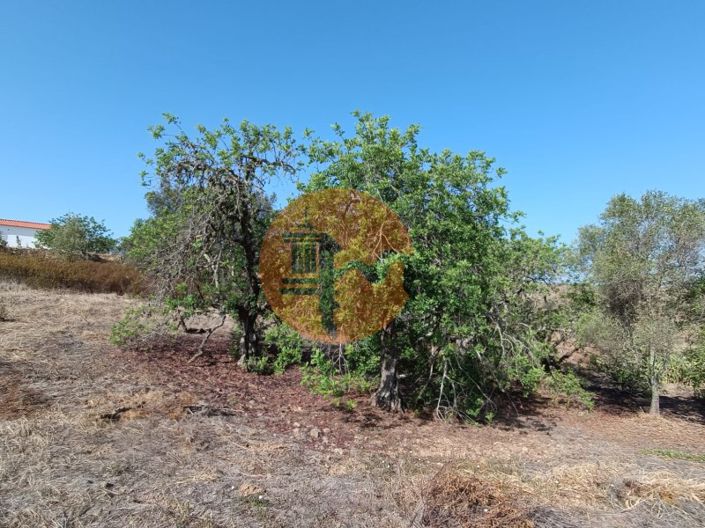 Image No.35-Terrain à vendre à Castro Marim
