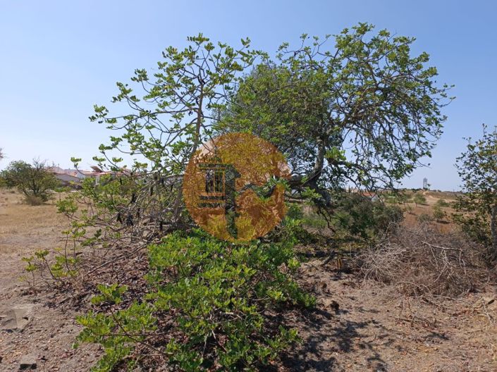 Image No.4-Terrain à vendre à Castro Marim