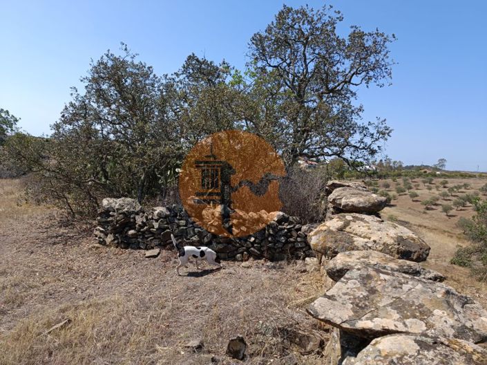 Image No.7-Terrain à vendre à Castro Marim