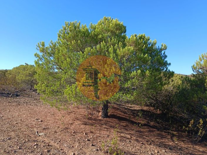 Image No.10-Plot for sale