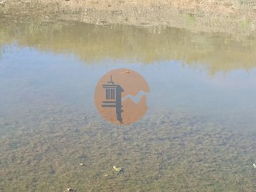 ide8177001-0000-0500-0000-000011c68ceb