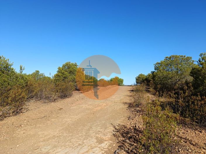 Image No.12-Plot for sale