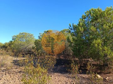 ide8177001-0000-0500-0000-000011c68cd7