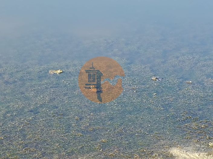 Image No.16-Plot for sale