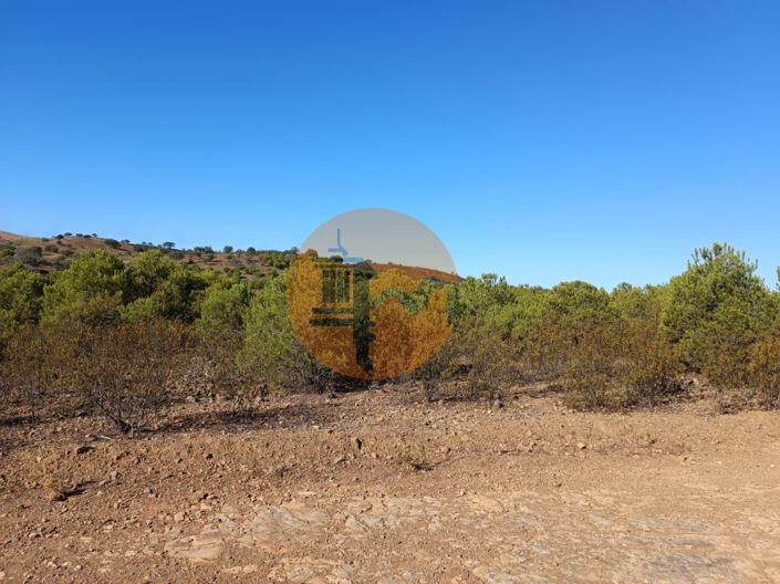 Image No.19-Plot for sale