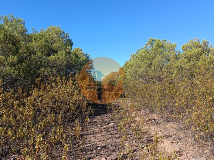 Image No.20-Plot for sale