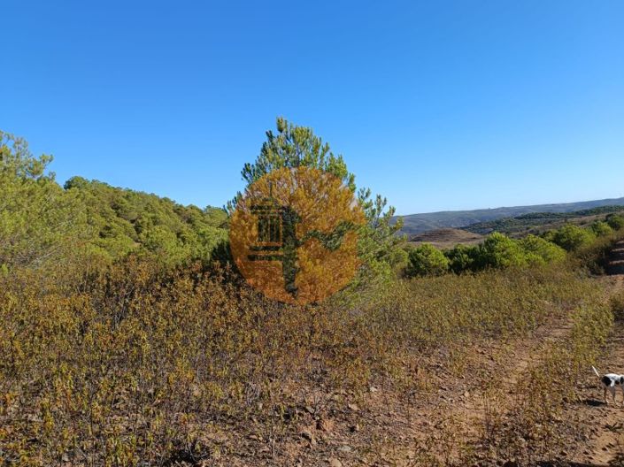 Image No.21-Plot for sale