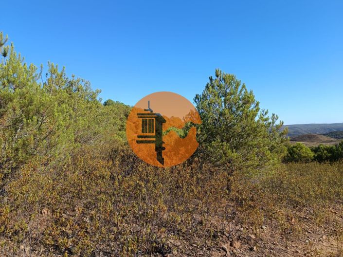 Image No.22-Plot for sale