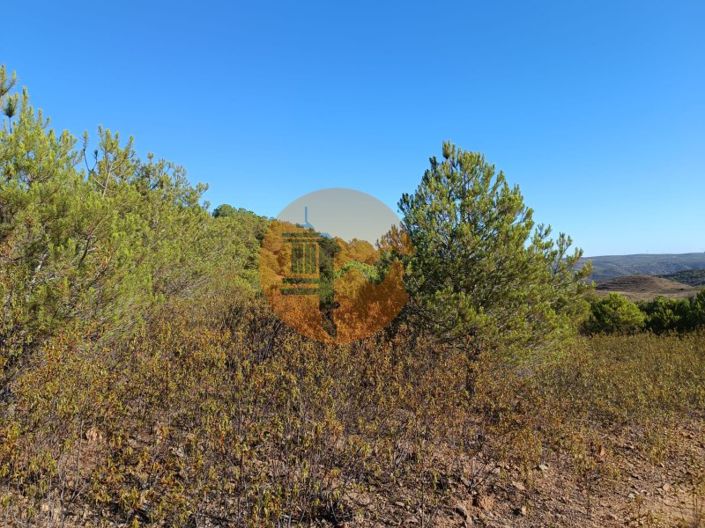 Image No.22-Plot for sale