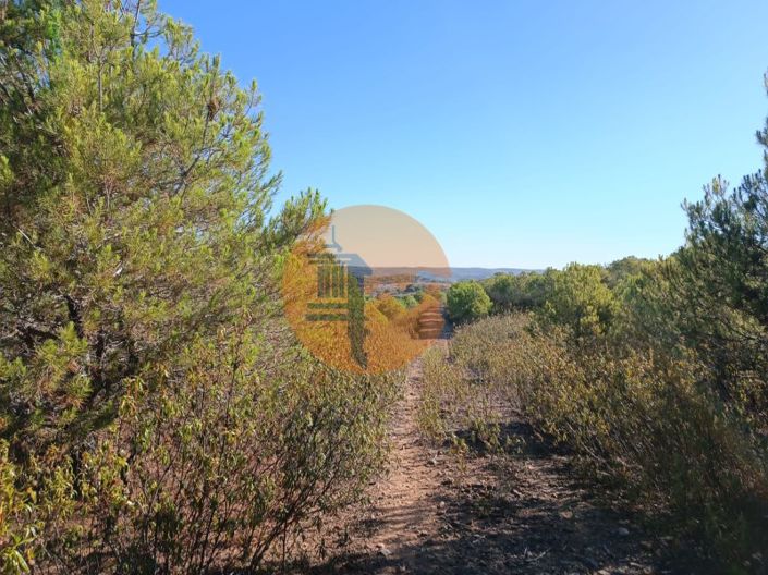 Image No.23-Plot for sale