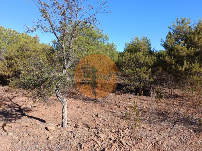 Image No.25-Plot for sale