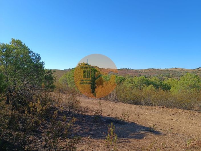 Image No.26-Plot for sale