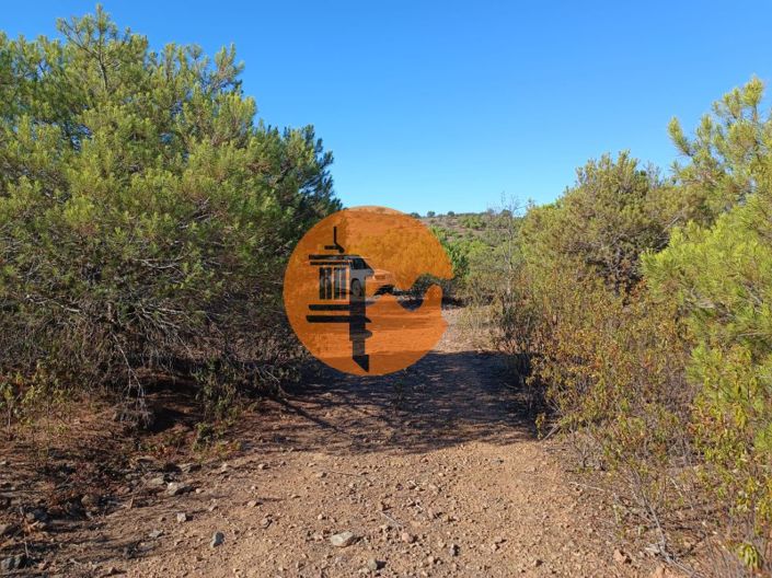 Image No.29-Plot for sale