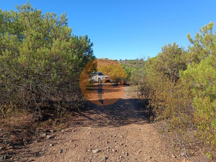 Image No.29-Plot for sale