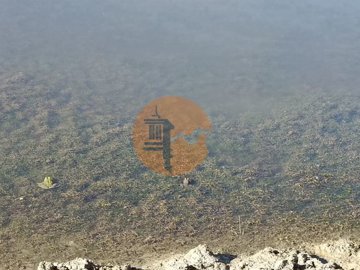 ide8177001-0000-0500-0000-000011c68ce7