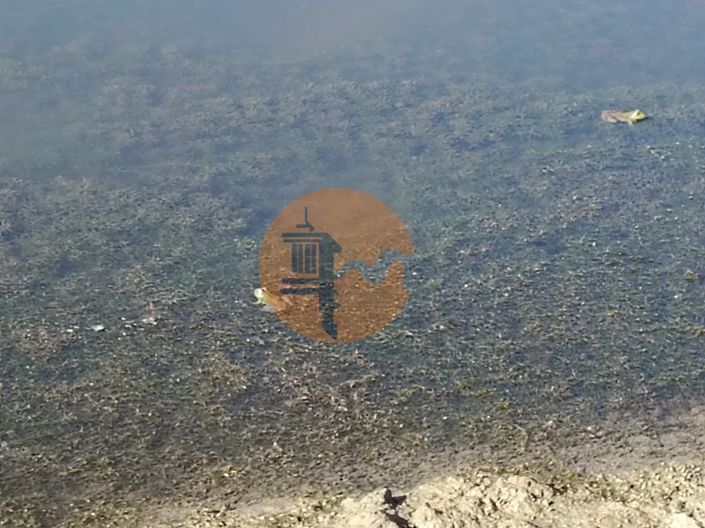 Image No.30-Plot for sale