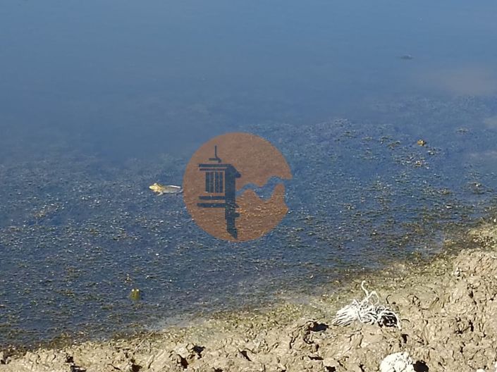 Image No.31-Plot for sale