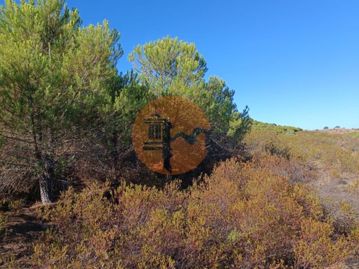 Image No.35-Plot for sale