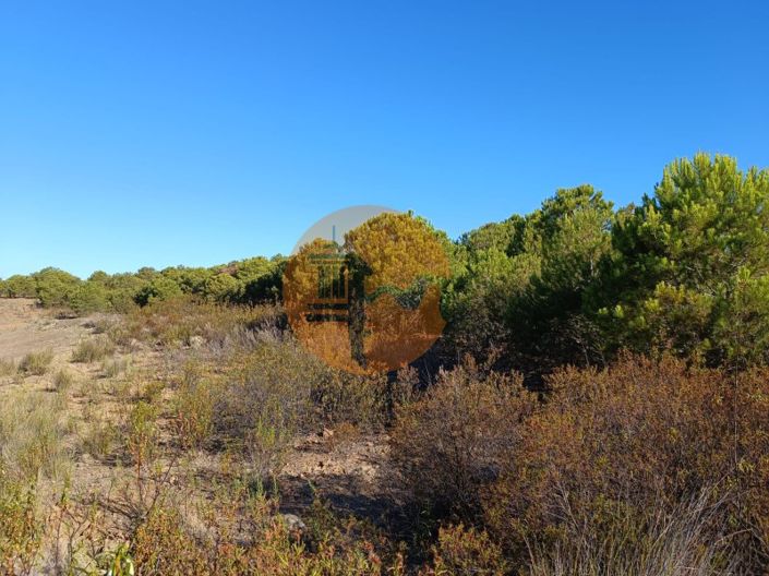 Image No.37-Plot for sale