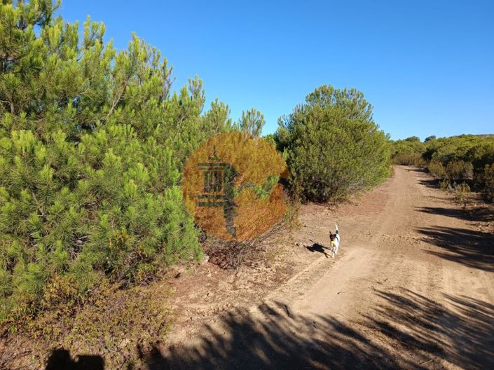 Image No.39-Plot for sale