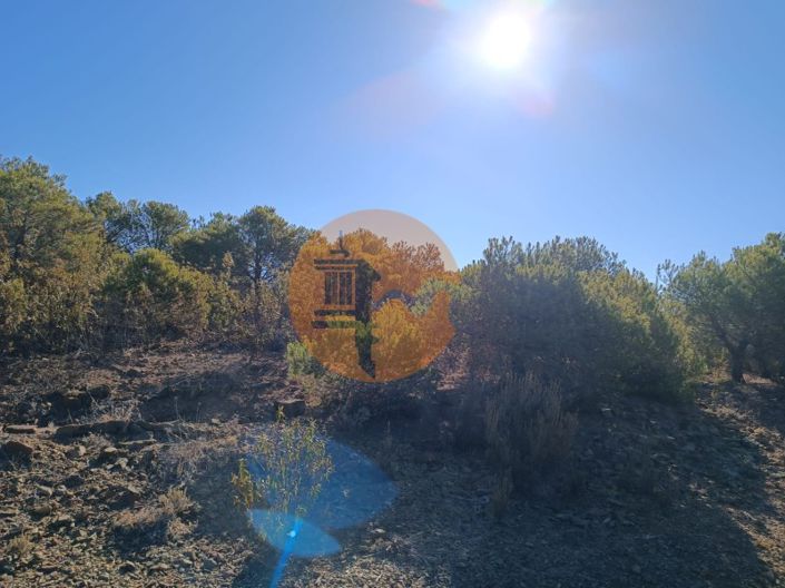 Image No.4-Plot for sale